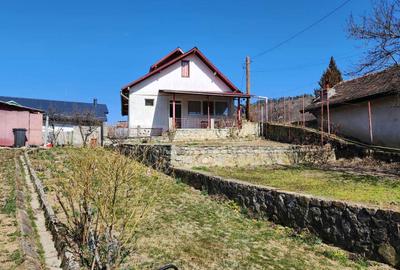 Casă cu 3 camere în Pietroșița - 5