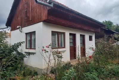 Casa Campulung - 8