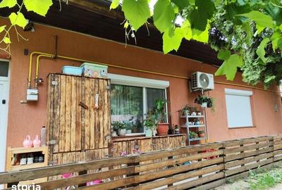 Casă cu 2 camere nedecomandat cu Teren 69 Mp în Iosefin - 5