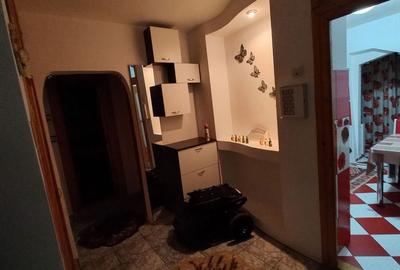Apartament cu 2 camere decomandat în Lacu - 4