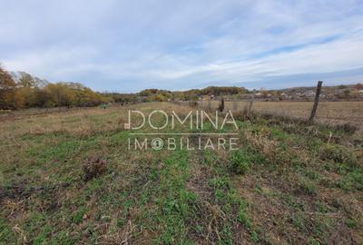 Teren intravilan, 4967 mp, utilita?i, sat Rasova, Bale? - 3