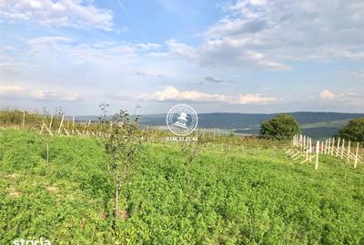 Teren de 6200 mp, în Mogoșești - 7