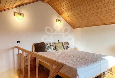 Casa cu teren 2052 mp in Saldabagiu de Munte - 4