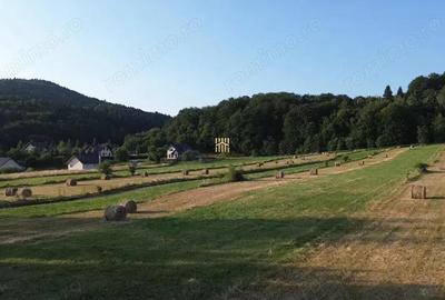 Teren 5886 mp In Bucovina - Bucsoaia! De Vanzare! 0727817187 - 3