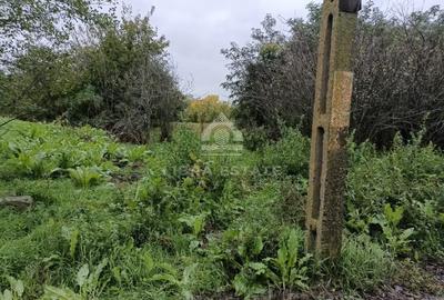 De vanzare: Teren intravilan 3102 mp in Delta Dunarii, comuna Partizani - 3