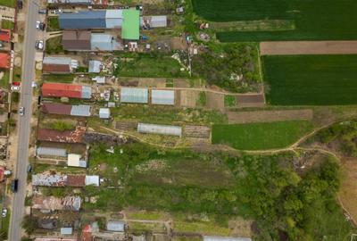 TANTAVA - GRADINARI, CASA 70 MP, LOT - 1557 MP! - 38