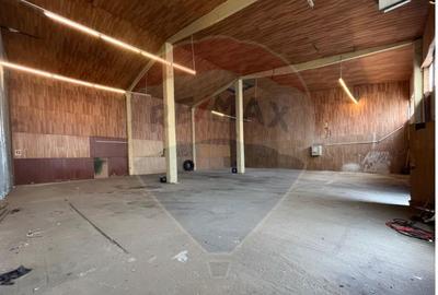 Hala industriala de inchiriat-Sibiu - 3
