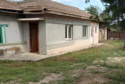 Casă cu Teren 7000 Mp în Săbiești - 4