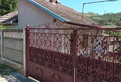 Casă cu 2 camere cu Teren 2615 Mp în Ocna Mureș - 4