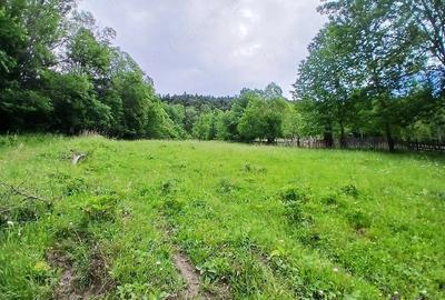 Teren de 2300 mp, în Valea Doftanei - 4