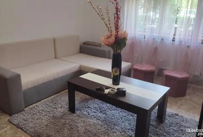 Inchiriez apartament 2 camere Severinului - 3