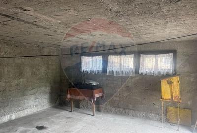 Casa solida cu dublu front stradal de vanzare-cartierul Ferneziu - 18
