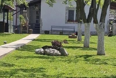 Casă cu Teren 2600 Mp în Bascov