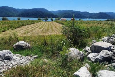 Teren de 2500 mp, în Berzasca - 15