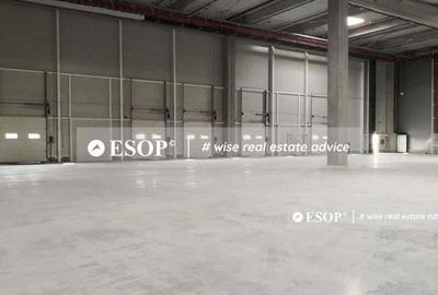 Spațiu comercial, de 5,000 mp, în Chitila - 3