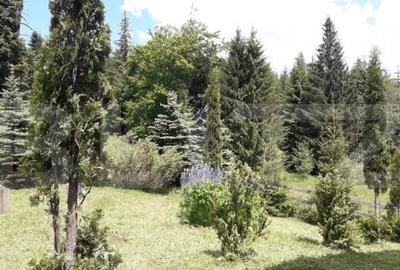 Casa de vacan?a in Piatra Fantanele + 4,5 arii teren - 11