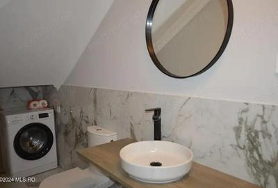 Calinesti - Gorganu, casa cu 2 intrari, teren 2496 mp - 14