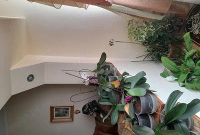 Apartament 3 camere zona buna