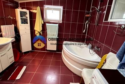 2 case si teren in Agapia - localitatea Sacalusesti - 16