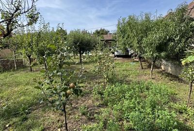 Casă cu 3 camere în Central - 3