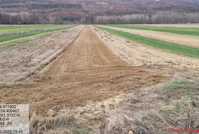 Casă individuală cu 5 camere cu Teren 15000 Mp în Dosu Râului - 10