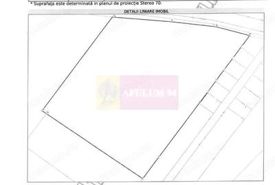 Teren de 131935 mp, în Est - 9