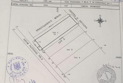 Teren intravilan 5000 mp, deschidere 70 m, Frumusani - DN4, iesire A0 si Centura - 5