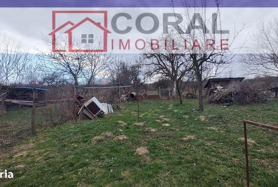 Casă cu 2 camere cu Teren 4368 Mp în Certeju de Sus - 13