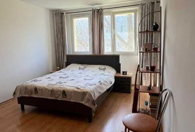 Apartament cu 2 camere decomandat în Ozana - 3