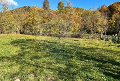 Teren de vanzare Cuiejdel 1350 mp Teren de vanzare Cuiejdel 1350 mp - 15