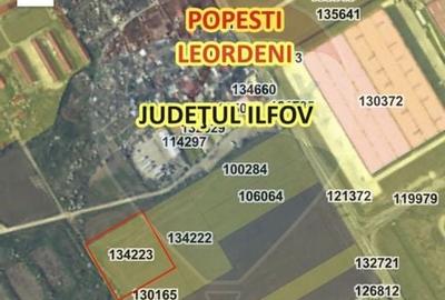 Teren intravilan 10,000mp Popesti-Leordeni intre centura Buc si A0 - 2
