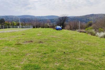 Teren de 1000 mp, în Mierea - 2