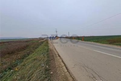 Teren de 5712 mp, în Chiribiș - 3