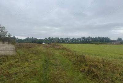 Teren de 10000 mp, în Moara - 20