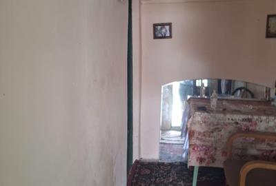 Vand casa teren 3000mp satul Gresia, Rosiorii de Vede, Teleorman - 6