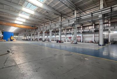 Hală industrială de închiriat – 3.805 mp, pod rulant, acces TIR-Zona Astra - 2
