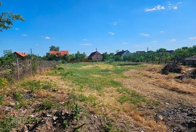 Casă individuală cu 3 camere cu Teren 1439 Mp în Sânpetru Mare - 5