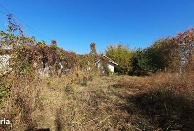 Casă cu 4 camere cu Teren 7720 Mp în Șirna - 14