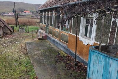 Casă cu 3 camere cu Teren 3629 Mp în Boian - 3