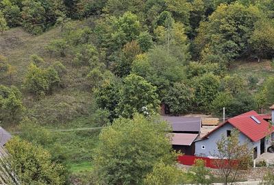 Spațiu comercial, în Tău - 5