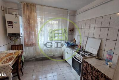 Apartament cu 2 camere semidecomandat în Craiovița Nouă - 3