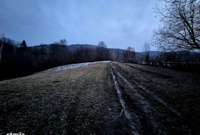 Teren de 5000 mp, în Șinca - 5