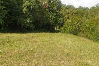 Teren de 2000 mp, în Seciu - 4