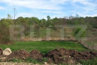 Teren de 4252 mp, în Central - 2