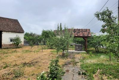 Comuna Augustin, casa deosebita, renovata integral, mobilata si utilata full!!! - 10