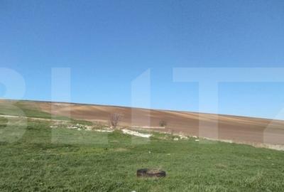 Teren 3600 mp, la DE 85, iesire Letcani, utilitati aproape - 4