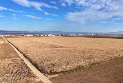 Teren de 324800 mp, în Prejmer - 2