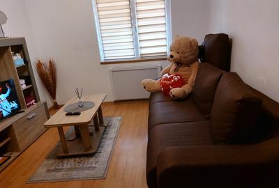 Apartament cu 2 camere semidecomandat în Brezoi - 2