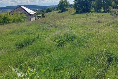 Teren intravilan, in Criseni - 2