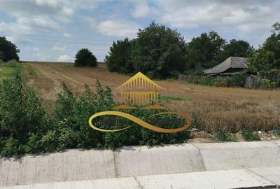 Teren intravilan 5400 mp de vanzare Filipesti / Bacau - 1